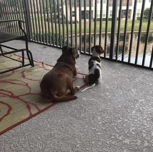 Meet your Posher, Donna